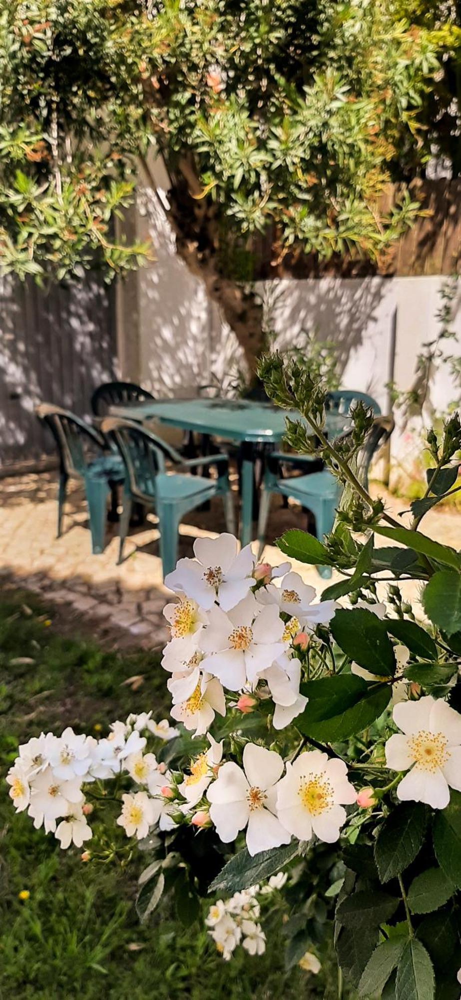Villas Boas House Caparica 2 卡帕里卡海岸 外观 照片